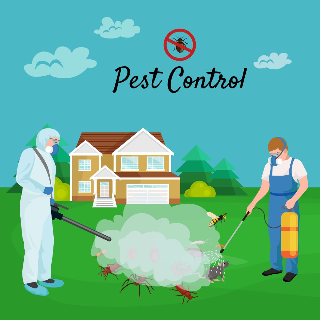 Pest Control Barrie for Your Home: Easy and Effective Methods to follow