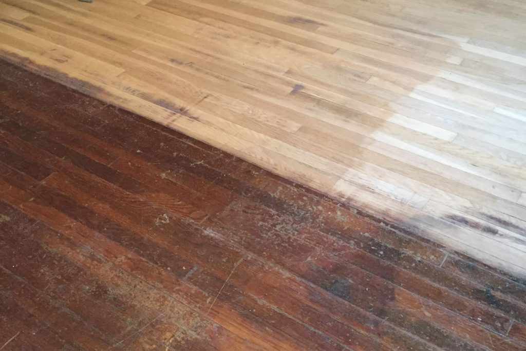 Replacing and Repairing Hardwood Floor after Insects Damage: How do they attack?