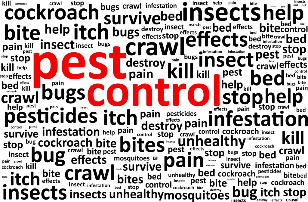 Protecting Your Business: Commercial Pest Control King City