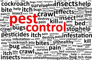 pest control king city