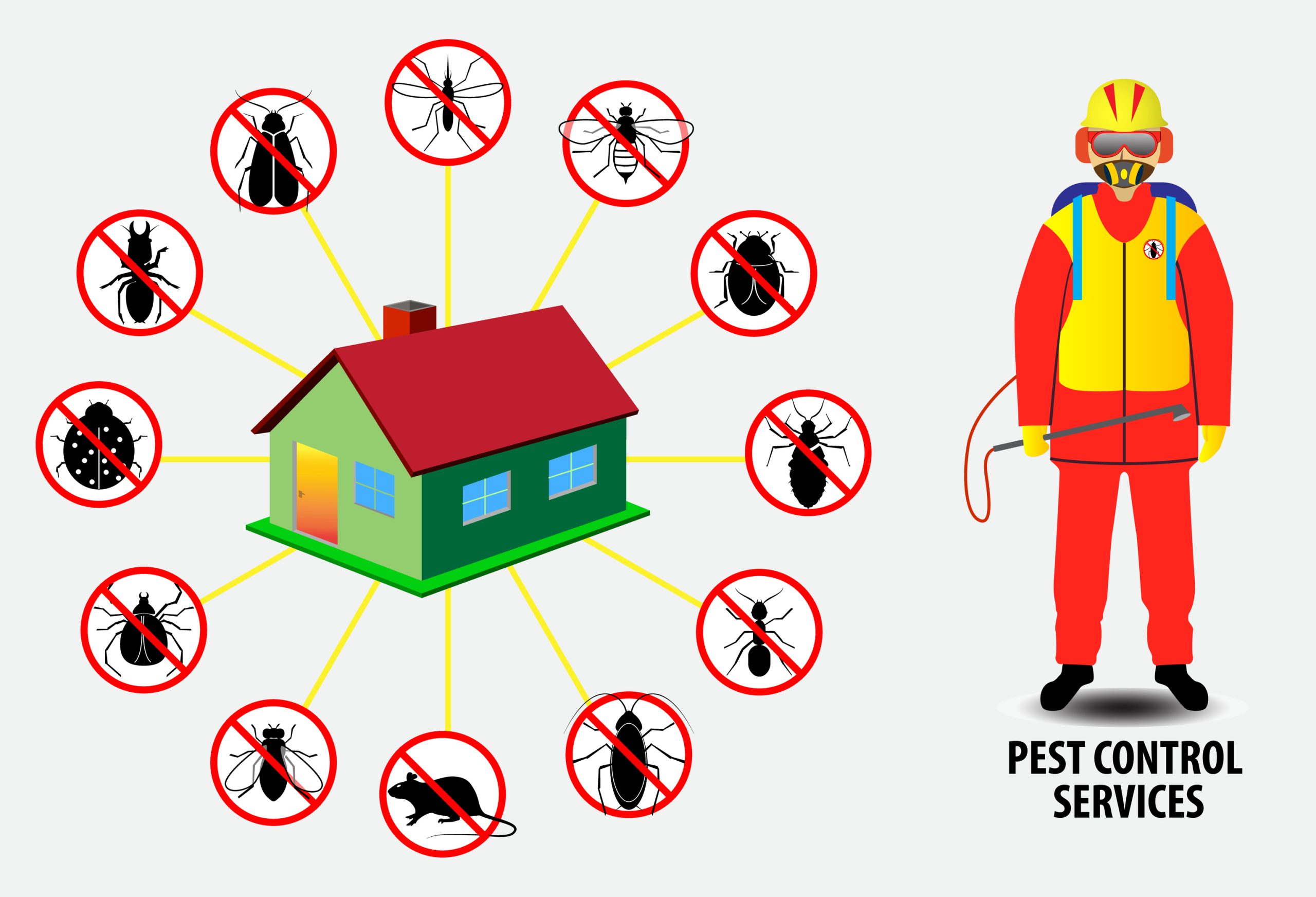 Helpful Tips for choosing Best Services of Pest Control Brampton near you