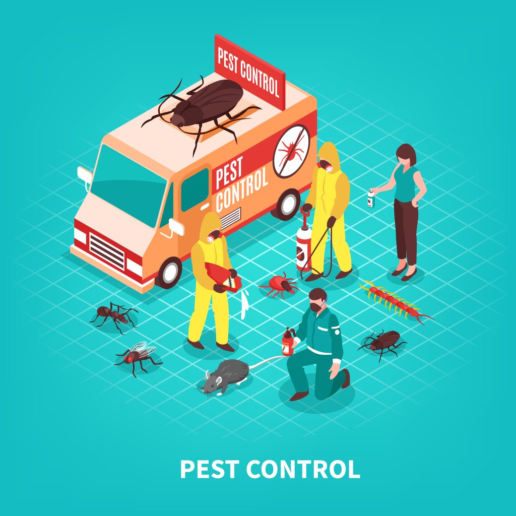 Cockroach Control King City: Simple and Effective Ways to Combat Them Quickly