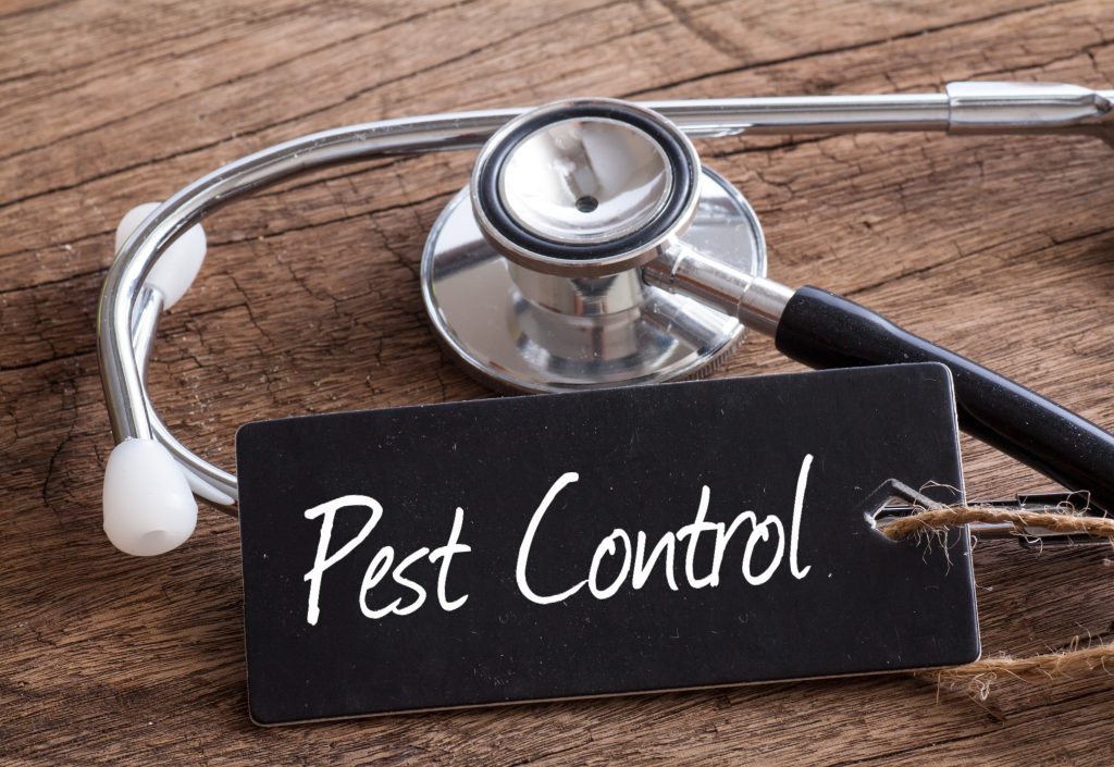 Wildlife Control Tips: Preventing Animal Encounters in Parks of Mississauga