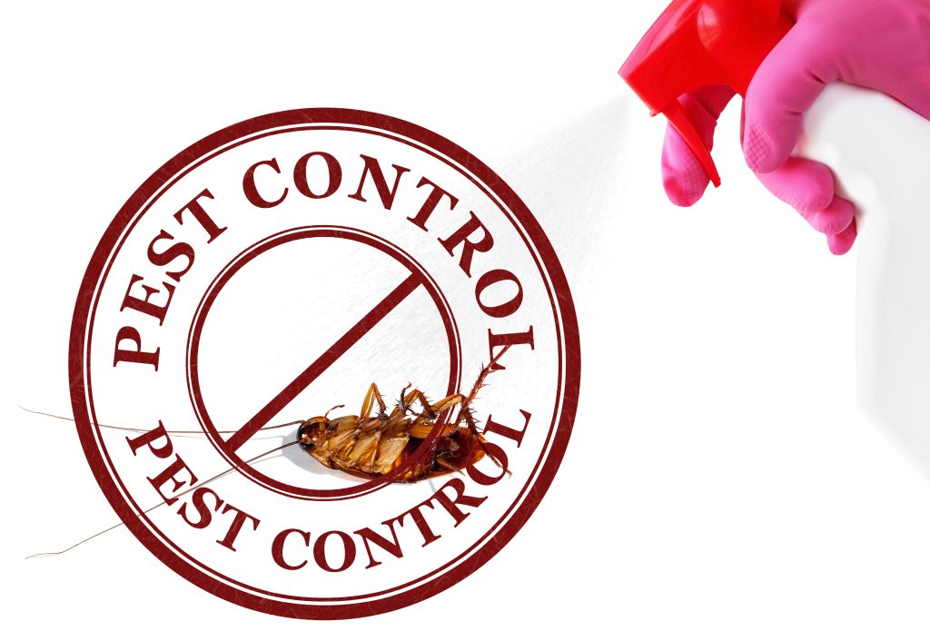 Detailed Guide to Pest Control in North York: Protecting Your Home and Business