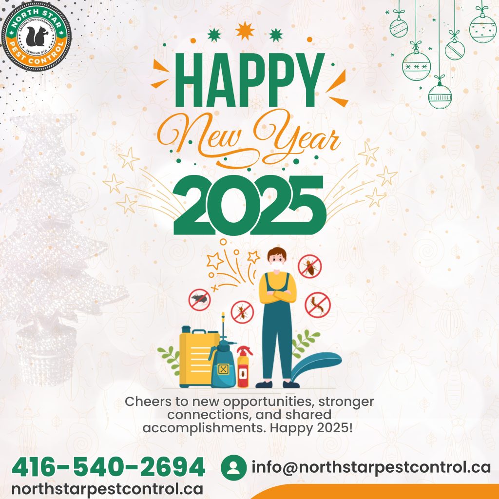 Pest Free New Year 2025 : How Can You Prevent Insects in Your Commercial Property?