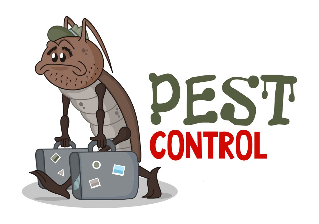 Common Summer Pests 2025: How to Keep Them Out of Your Home