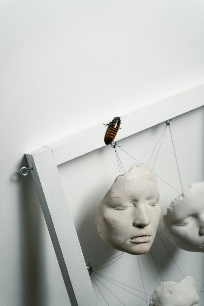 Where Do Baby Cockroaches Hide Before an Infestation Grows?