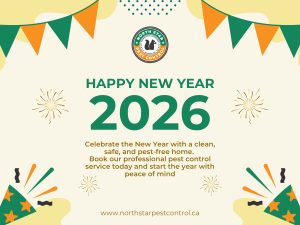 pest free New Year